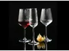 Allegra Focus verre à vin D63/91xH218mm 490ml