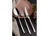 Royal dessertspoon 18/10 L160xH3mm