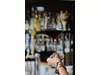Spendour wineglass D88xH238mm 300ml