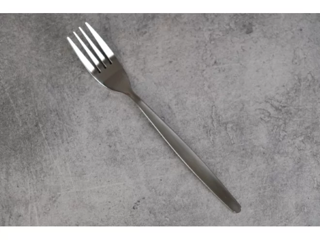 Europa Table fork18/8 1.8mm L197mm