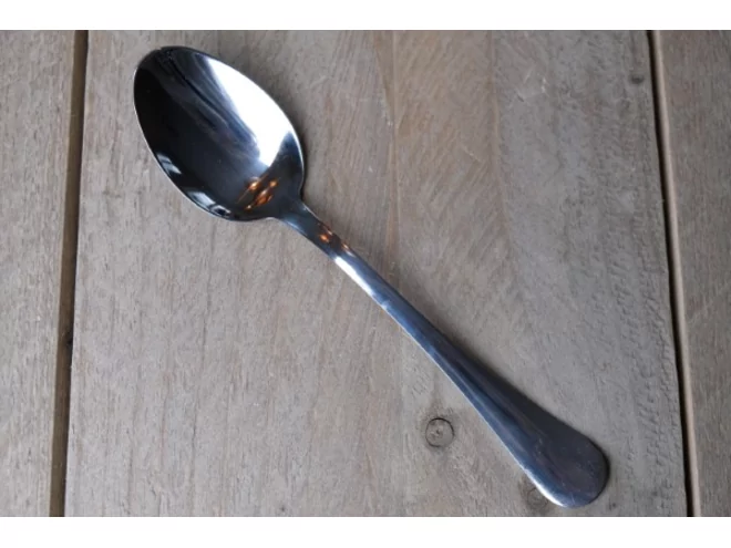 Take away 18/0 tafellepel L195xH2mm
