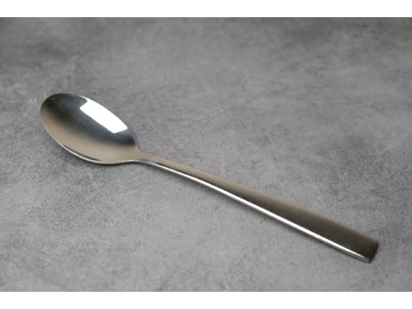 Terra 18/8 cuillère de table L209xH2,5mm