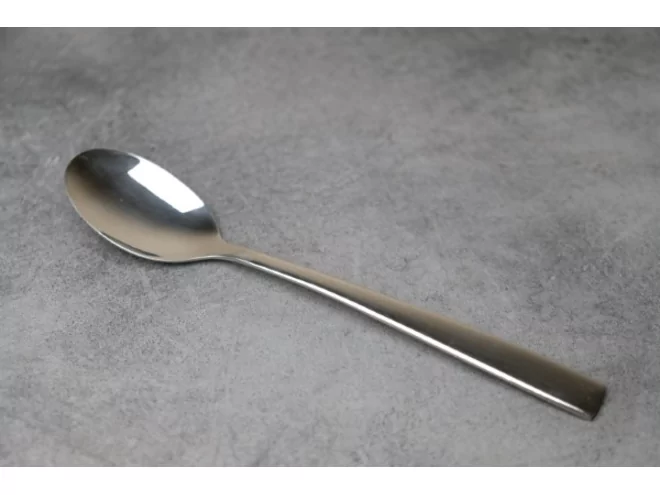 Terra 18/8 tafellepel L209xH2,5mm