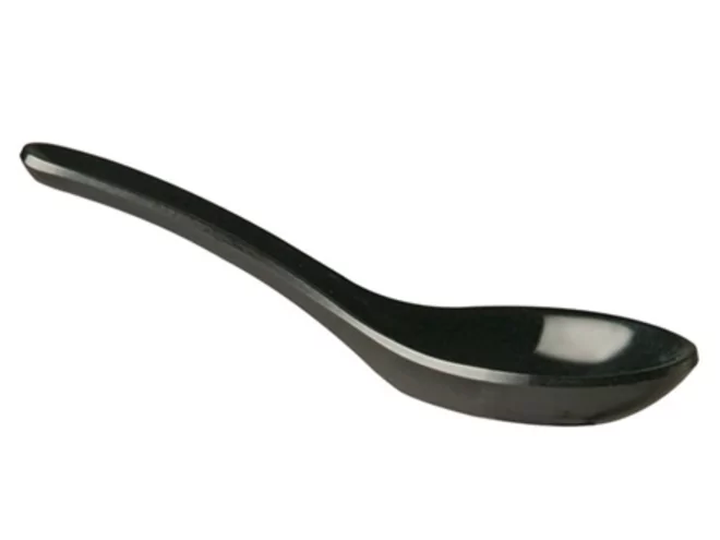 Mélamine Cuillère party Hong Kong L130x45mm noire
