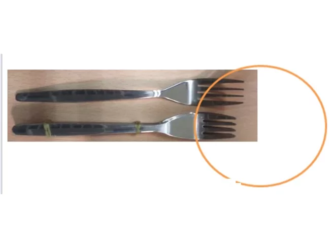 Alternatief Europa tafelvork 18/8 L195mm OP=OP