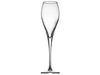 Monte Carlo flute met mousseerpunt D49xH252mm 230ml