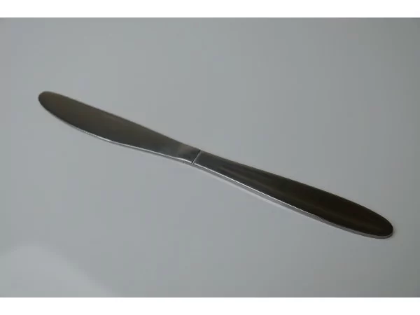 Budget Frida inox tafelmes L212xH1,8mm