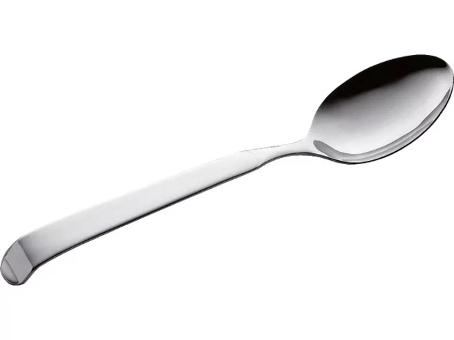 Pintinox Astra Serving spoon 240mm