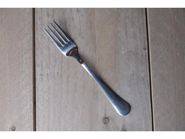 Take away 18/0 tafelvork L195xH2mm