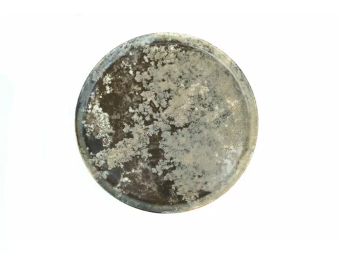 Gural Forest flat plate Ø210mm