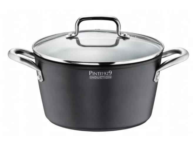 Pintinox Stone 1 Casserole couvercle verre D200mm