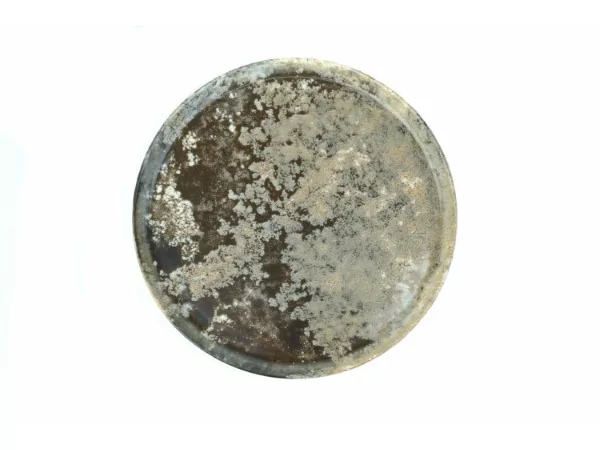 Gural Forest flat plate Ø290mm