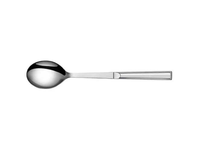 Gastropro inox cuillère de service  L300xB60mm